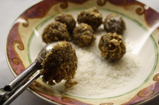 scoop nut mixture using small scoop, press into balls, and roll in coconut.
