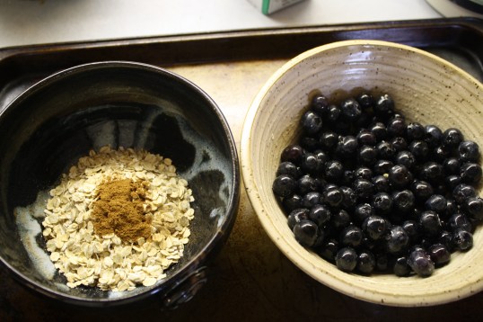 stir fruit, maple syrup and lemon...mix the rest